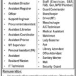 Latest Air University Jobs in Islamabad 2026 – Apply Online Before 24 February
