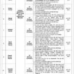 Latest MOENT Teaching Jobs in Islamabad 2026 – Apply for Federal Education Department Vacancies