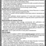 Latest Government Job in Lahore 2026 – Chief Human Resource Career Planning Officer at LESCO