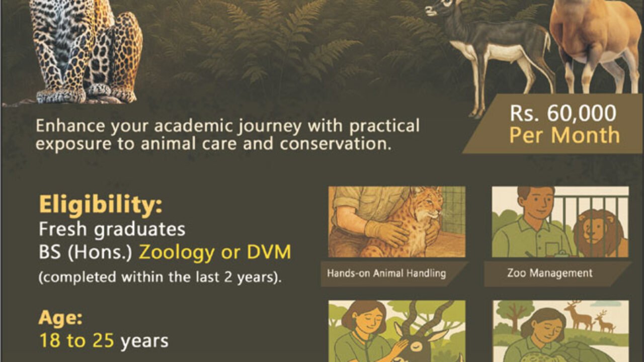 Punjab Wildlife & Parks Department Management Jobs 2026 in Lahore – Apply Now