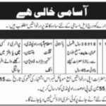 Latest Government Hotel Jobs in Islamabad 2026 – Apply for Cook Unit Positions