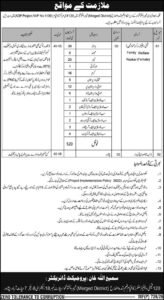 Population Welfare Department Jobs 2026 in Peshawar – Family Welfare Worker & Naib Qasid Vacancies