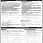 Power Planning and Monitoring Company Jobs 2026 – Internal Audit Vacancies in Islamabad