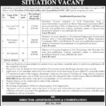 Government Engineering & Management Jobs in Lahore 2026