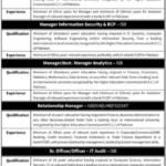 Exim Bank of Pakistan Jobs 2026 – Relationship Manager, Risk, IT & Analytics Positions