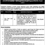 Environment Protection & Climate Change Department Punjab Jobs 2026 – Task Team Lead Vacancy in Lahore