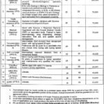 Fisheries Department Punjab Jobs 2026 – Shrimp Aquaculture Project Vacancies in Lahore & Muzaffargarh