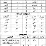 Communication & Works Department Balochistan Jobs 2026 – Cook, Drivers, Electrician & Support Staff Vacancies