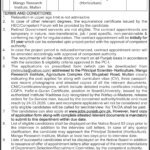 Mango Research Institute Multan Jobs 2026 – Research Associate (Horticulture) Vacancies