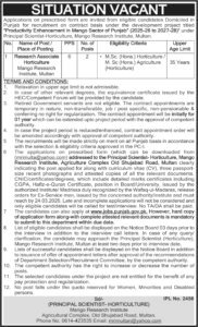 Mango Research Institute Multan Jobs 2026 – Research Associate (Horticulture) Vacancies