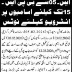 Culture Tourism Antiquities & Archives Department Jobs 2026 in Karachi – Multiple Government Vacancies