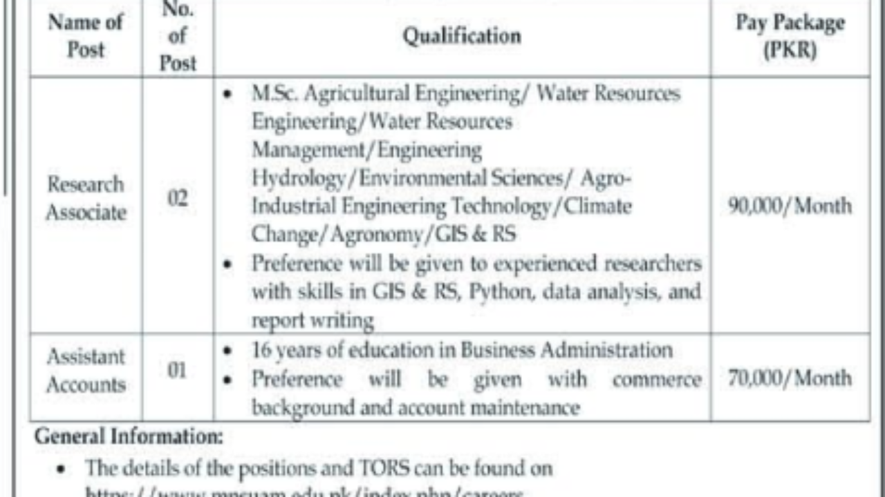 MNS University of Agriculture Multan Jobs 2026 – Research Associate & Assistant Accounts Vacancies