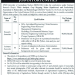 MNS University of Agriculture Multan Jobs 2026 – Research Associate & Assistant Accounts Vacancies