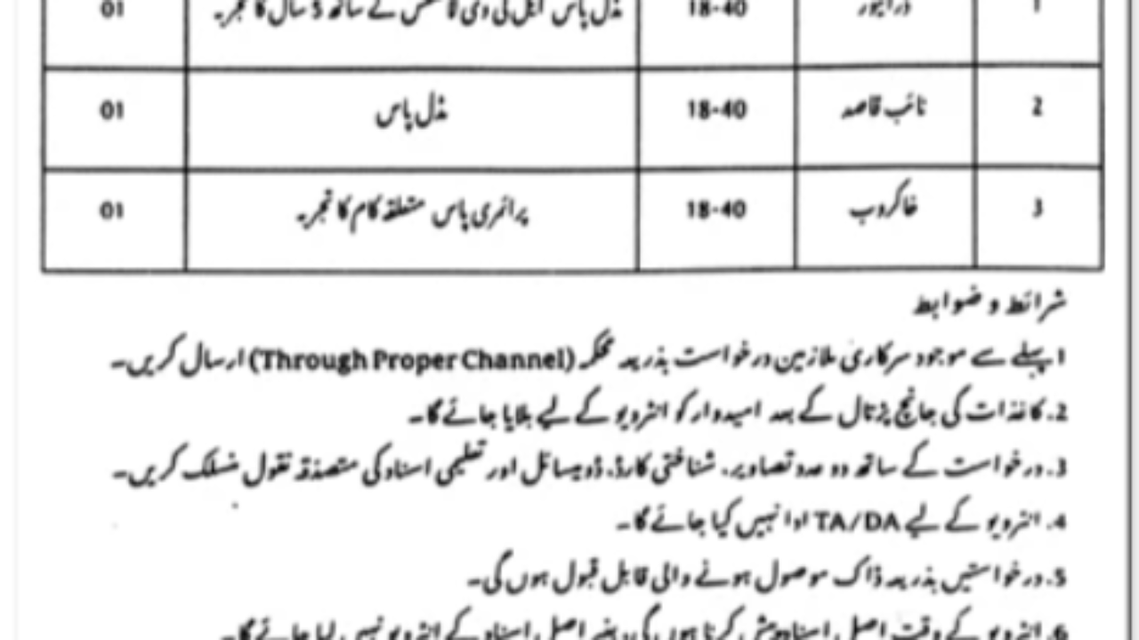 Specialized Healthcare & Medical Education Department Jobs 2026 in Lahore (Naib Qasid, Driver, Khakrob & LTV Driver)