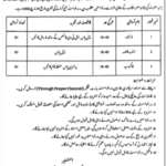 Specialized Healthcare & Medical Education Department Jobs 2026 in Lahore (Naib Qasid, Driver, Khakrob & LTV Driver)