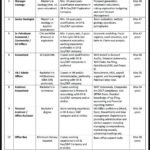 Sindh Energy Holding Company Jobs 2026 in Karachi – Management, Finance & Technical Vacancies