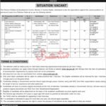 Ministry of Human Rights Jobs 2026 in Islamabad – Apply for Instructor & Education Roles