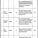 Maryam Nawaz School & Resource Centre for Autism Lahore Jobs 2026 – Complete Career Guide