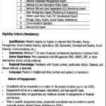 Punjab Forest Department Jobs 2026 – Expression of Interest (EOI) for Consultants in Lahore