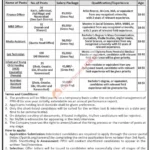 PPHI Balochistan Jobs 2026 – Temporary Healthcare Career Opportunities in Quetta and Multiple Districts