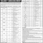 Ministry of National Health Services Jobs 2026 in Islamabad – Multiple Management & Technical Vacancies