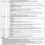 NFC Institute of Engineering & Technology Multan Jobs 2026 – Professors, Associate Professors, Lecturers & Lab Engineers