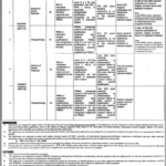 University of Health Sciences Lahore Jobs 2026 – Professors & Assistant Professors Required
