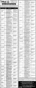 Punjab Financial Advisory Services PFAS Jobs 2026 in Lahore – Apply Online for Management & Specialist Positions