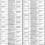 Punjab Financial Advisory Services PFAS Jobs 2026 in Lahore – Apply Online for Management & Specialist Positions