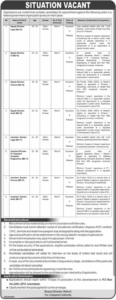 Federal Government Organization Jobs 2026 in Islamabad – Deputy & Assistant Director Vacancies