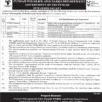 Punjab Wildlife & Parks Department Jobs 2026