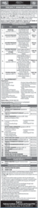 Pakistan Institute of Fashion & Design Jobs 2026