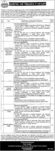 School Education Department Jobs 2026 – Lahore