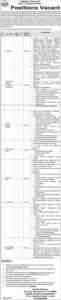 School Education Department Punjab Jobs 2026 – Strategic Management Unit (SMU) Vacancies in Lahore
